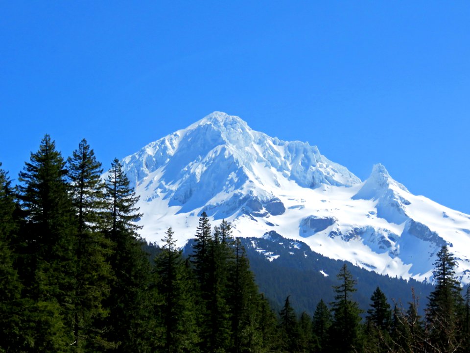 Mt. Hood Wilderness in Oregon