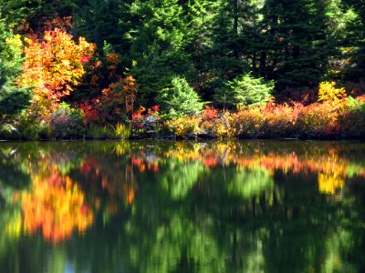 Autumn at Picture Lake in WA photo