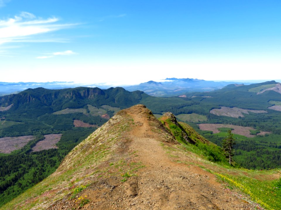 Saddle Mountain Trail in OR