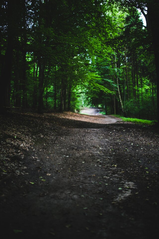 Road route way