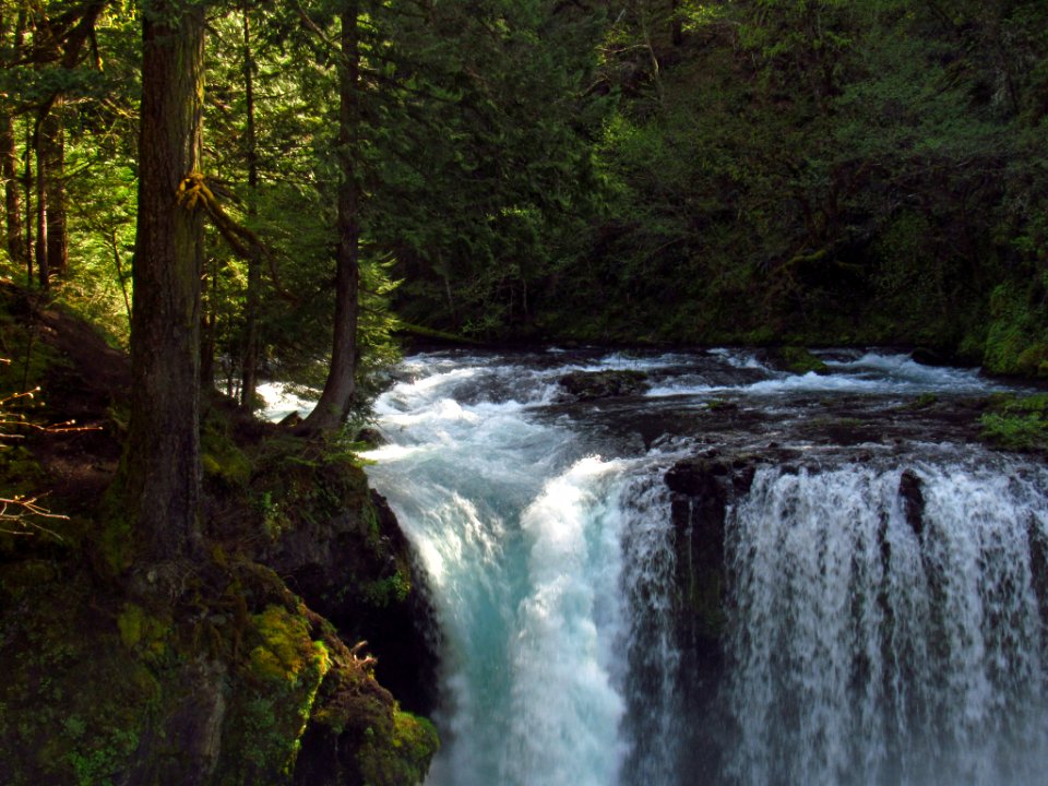 Spirit Falls Trail on Little White Salmon River in WA