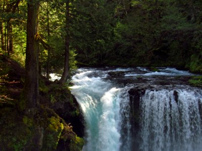 Spirit Falls Trail on Little White Salmon River in WA photo