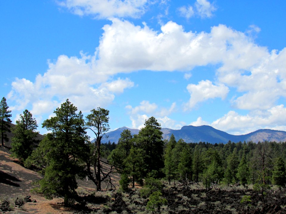 Sunset Crater Volcano NM in Arizona