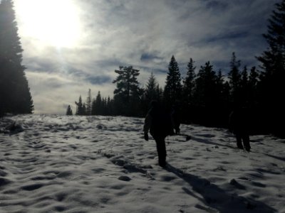 Surveys in the Snow Baker Cypress ACEC photo