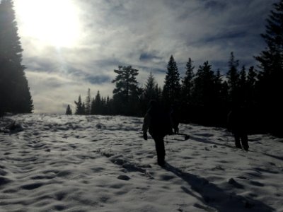 Surveys in the Snow Baker Cypress ACEC