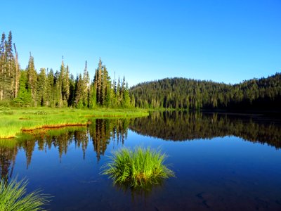 Reflection Lake at Mt. Rainier NP in WA photo