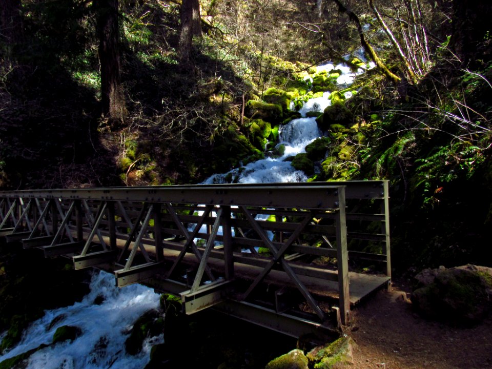 Bridge at Falls Creek Falls Trail in WA