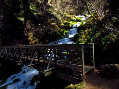 Bridge at Falls Creek Falls Trail in WA
