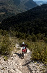 small-Bocco Mtn OHV CO-1199