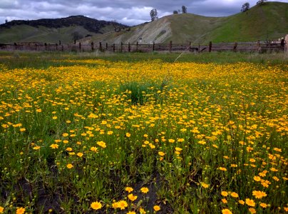 Berryessa Snow Mountain National Monument Dedication Celebration photo