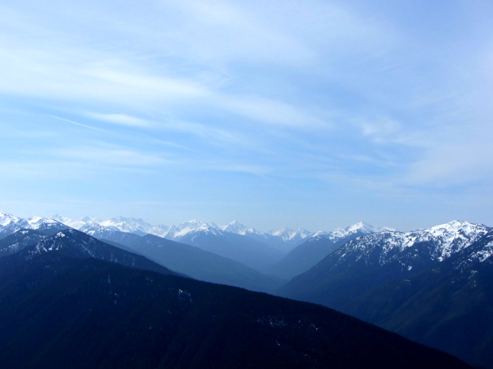 Hurricane Ridge at Olympic NP in WA