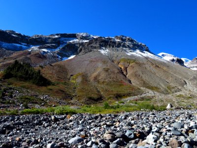 Glacier Basin Trail at Mt. Rainier NP in WA photo