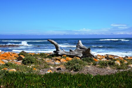 South africa water sea