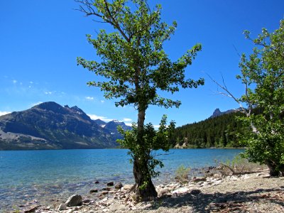 Saint Mary Lake at Glacier NP in Montana photo