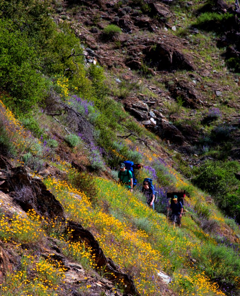 North Fork of the American River