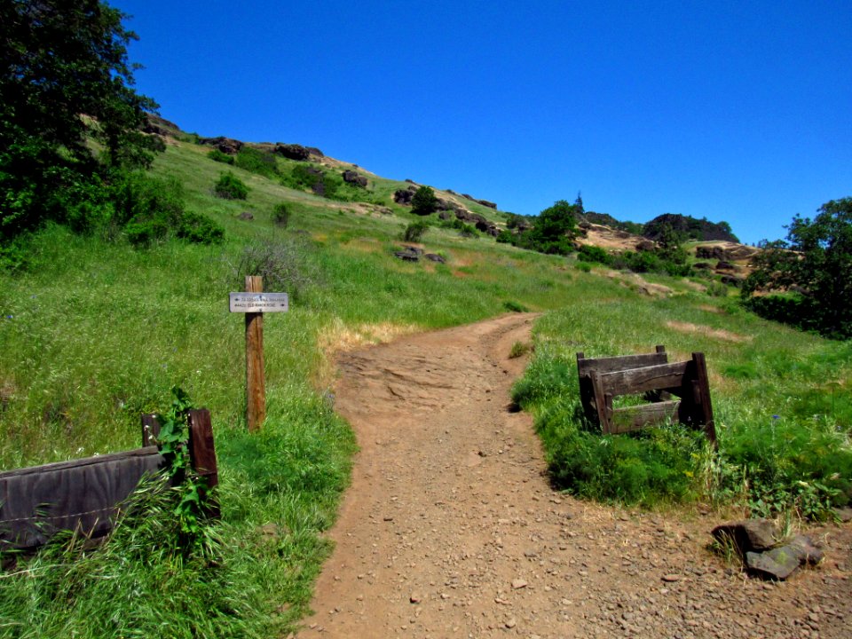 Labyrinth-Coyote Wall Trail in WA