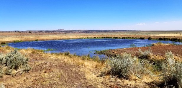 Harrison Reservoir, Eagle Lake Field Office