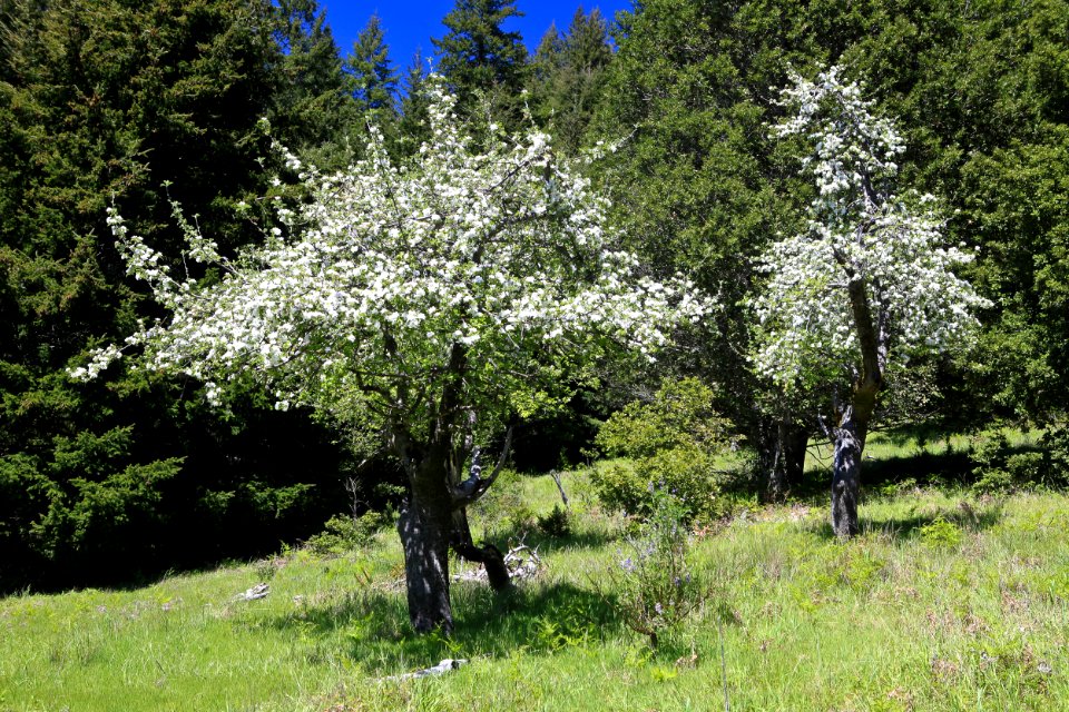 King Range National Conservation Area