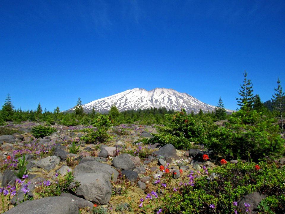 Lahar Viewpoint at Mt. St. Helens NM in WA