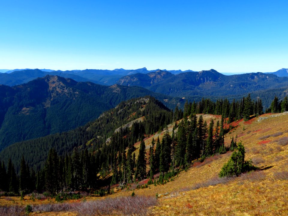 Tatoosh Ridge in WA