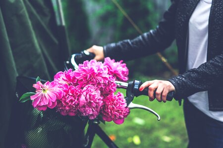 Flower flowers girl photo