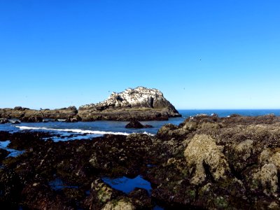 Yaquina Head Natural Area at Oregon Coast