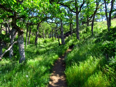 Labyrinth-Coyote Wall Trail in WA