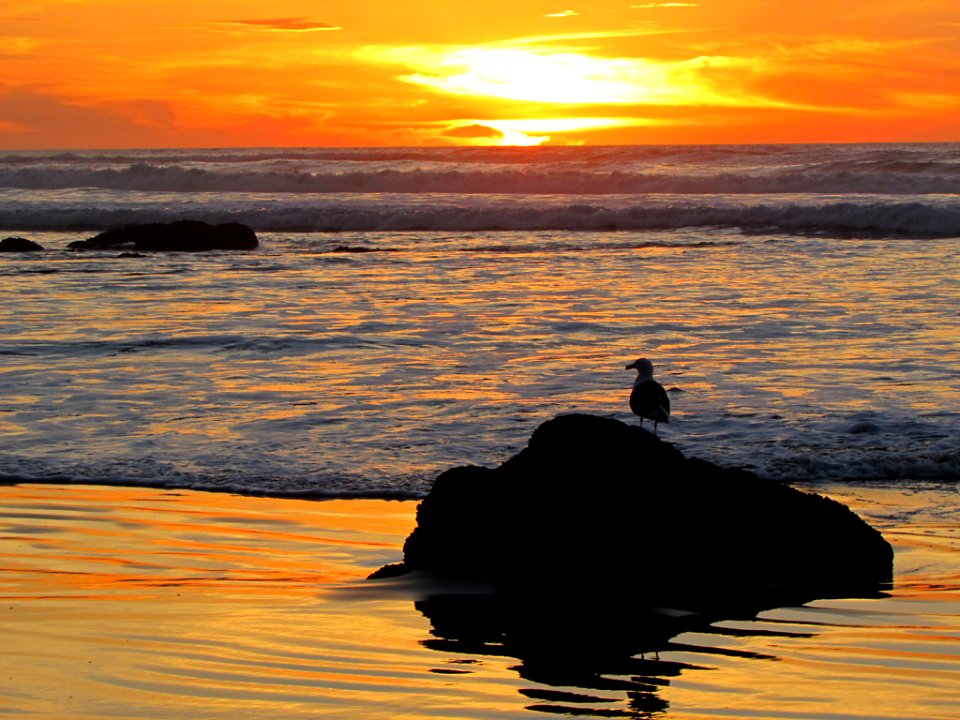 Hug Point at Pacific Coast in OR