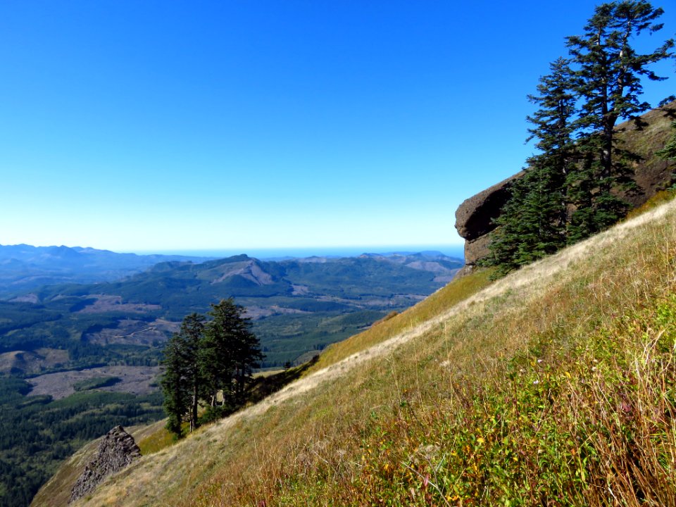 Saddle Mountain Trail in OR