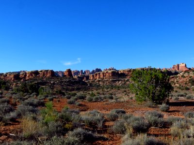 Needles District at Canyonlands NP in Utah photo