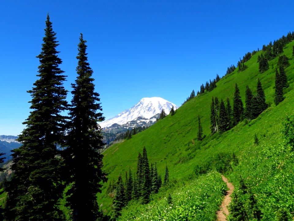 Tatoosh Peak Trail in WA
