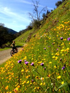Merced River Recreation Management Area