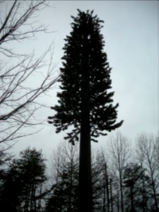 20210225-OC-KJH-0020