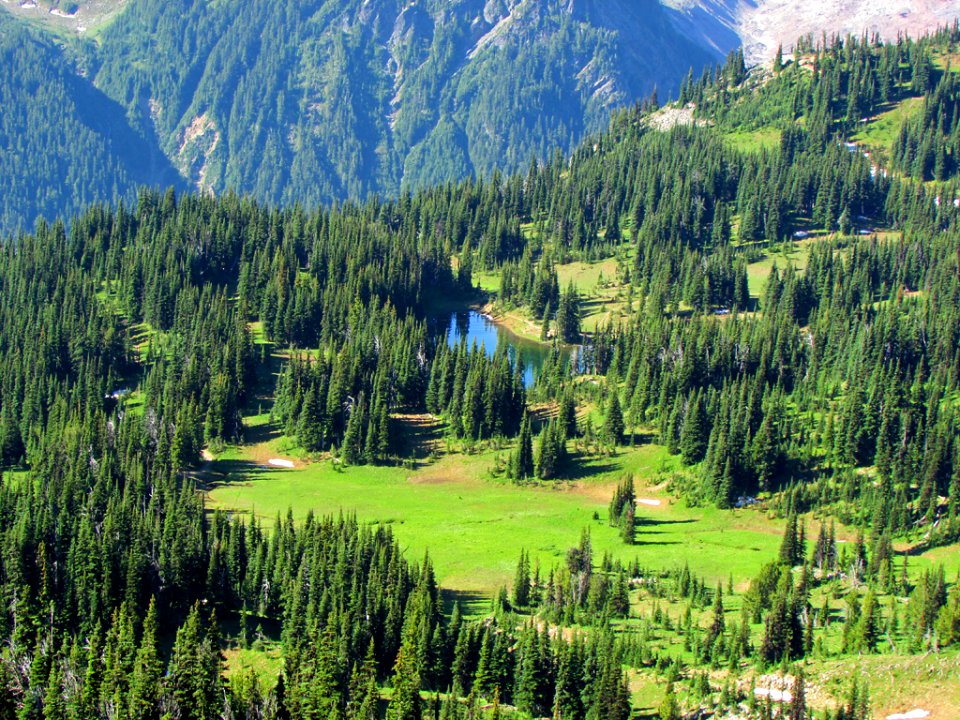 Sunrise Point at Mt. Rainier NP in Washington