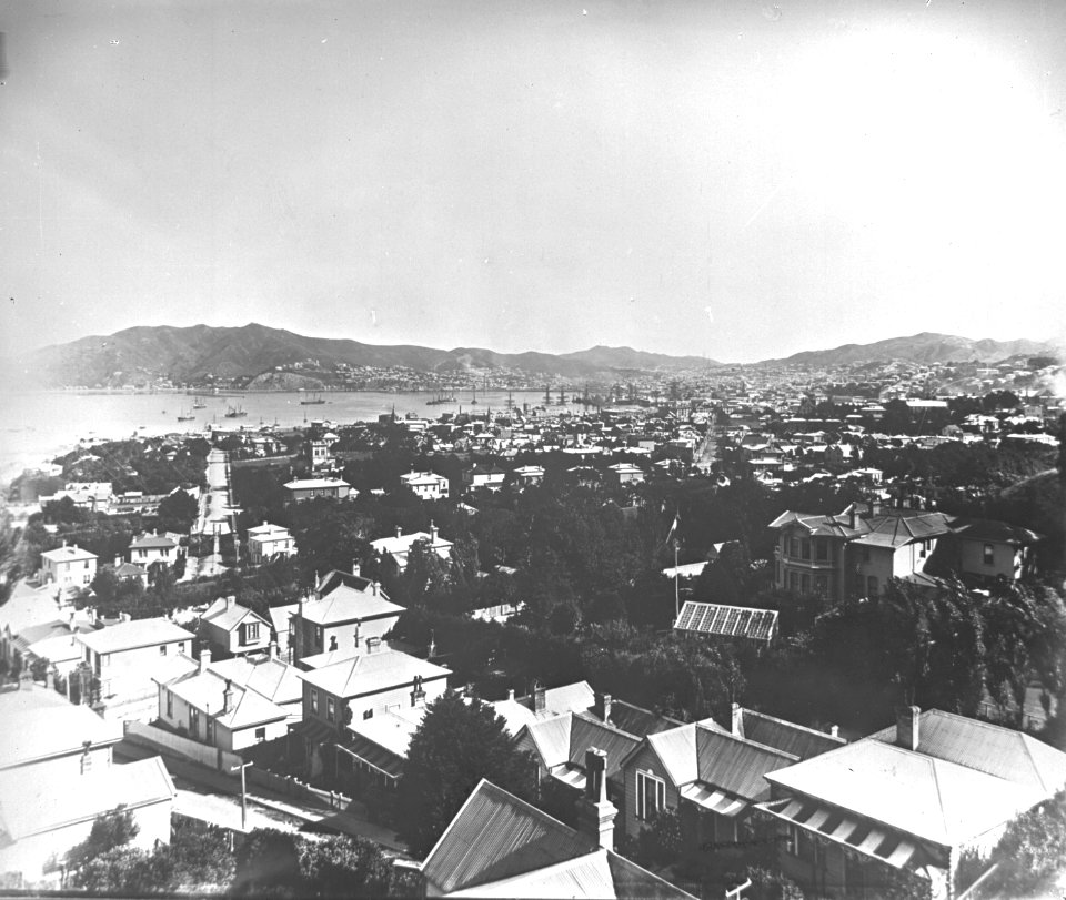 22; Elevated view of Thorndon - Circa 1880 - Glass Plate Negative