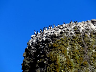 Yaquina Head Natural Area at Oregon Coast