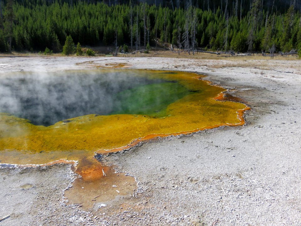 Yellowstone NP in Wyoming