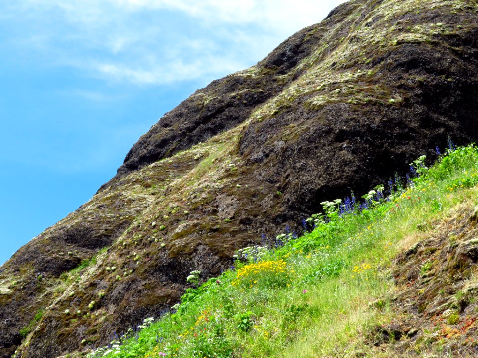 Saddle Mountain Trail in OR