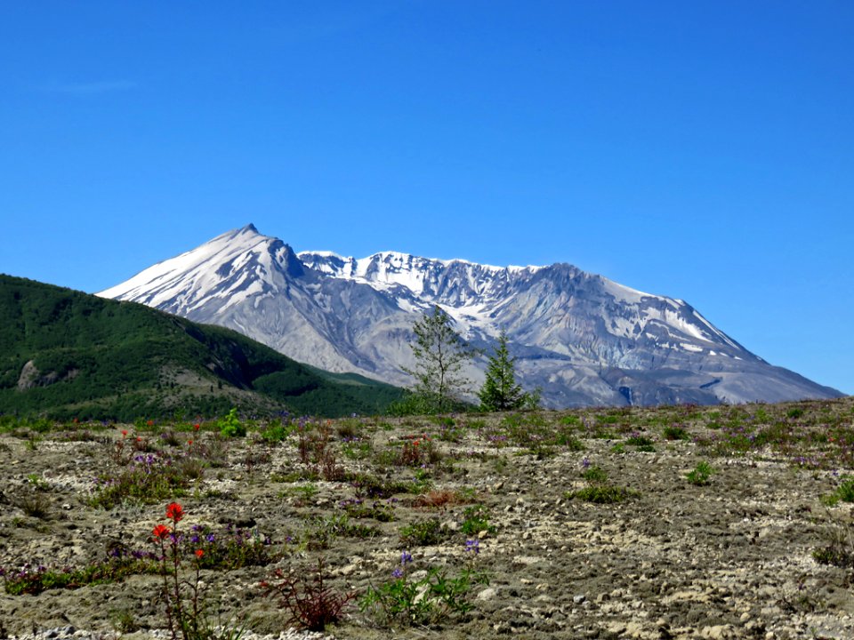 Mt. St. Helens NM in WA