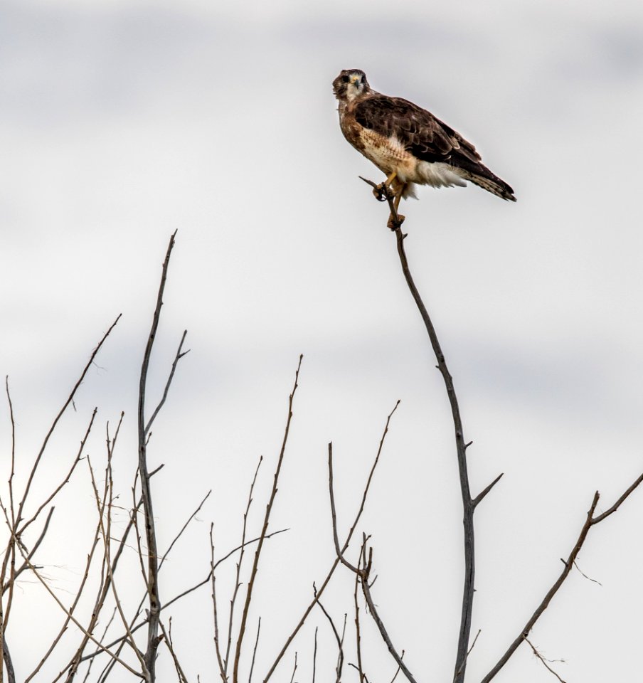 Blanca Wetlands Recreation Area