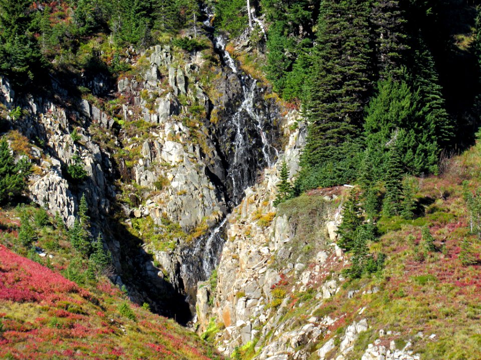 Autumn at Skyline Trail at Mt. Rainier NP in WA