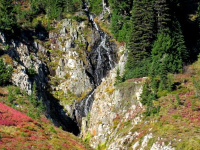 Autumn at Skyline Trail at Mt. Rainier NP in WA photo