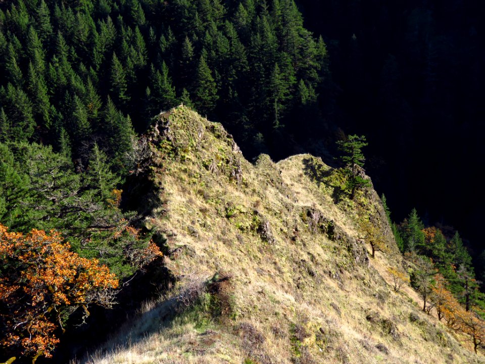 Spirit Falls Trail on Little White Salmon River in WA
