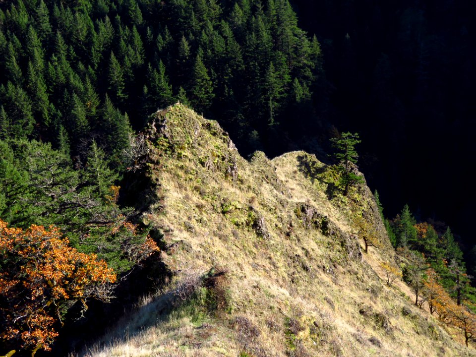 Spirit Falls Trail on Little White Salmon River in WA photo