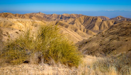 Panoche Hills photo