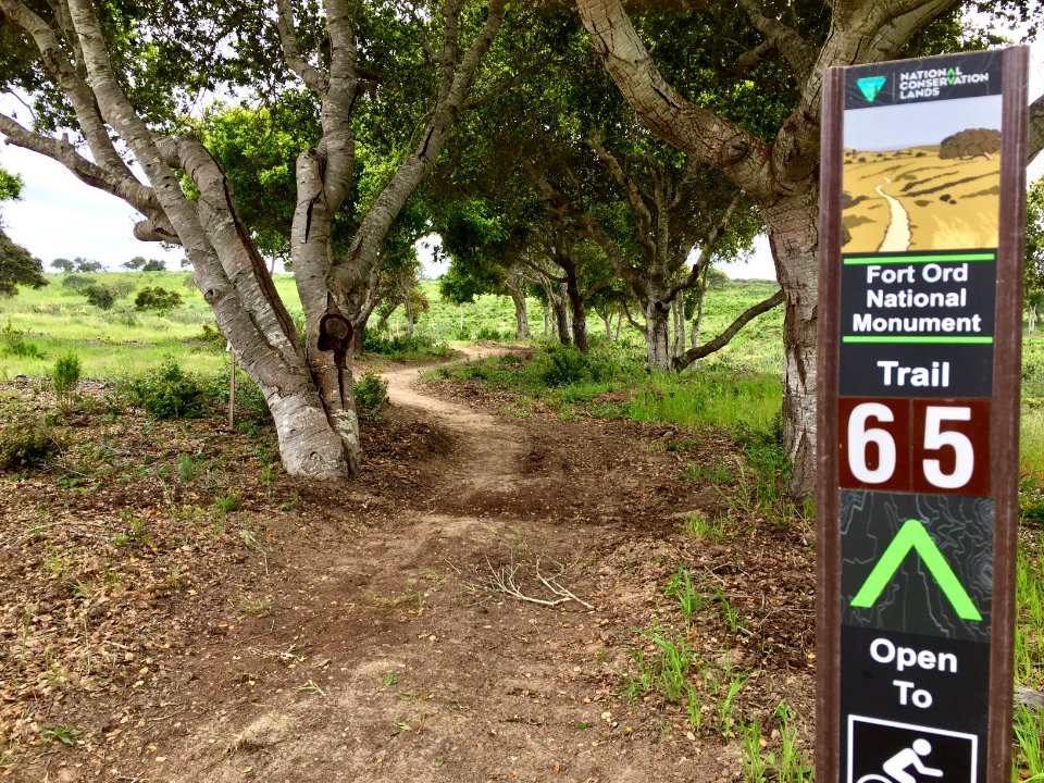 Fort Ord new trail