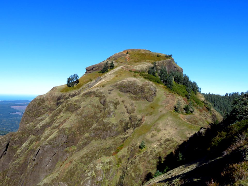 Saddle Mountain Trail in OR