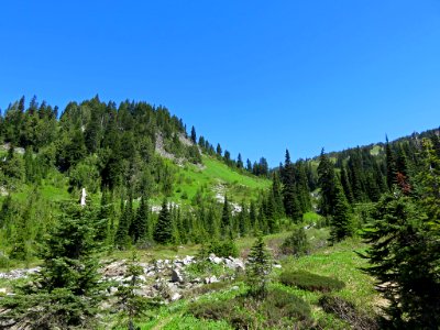 Mt. Rainier NP in Washington photo