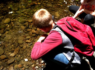 Summer Headwaters Education Program