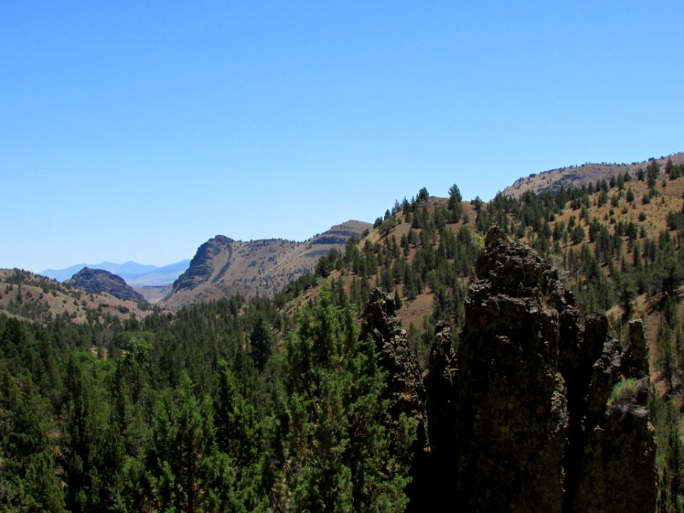 Landscape in Central OR